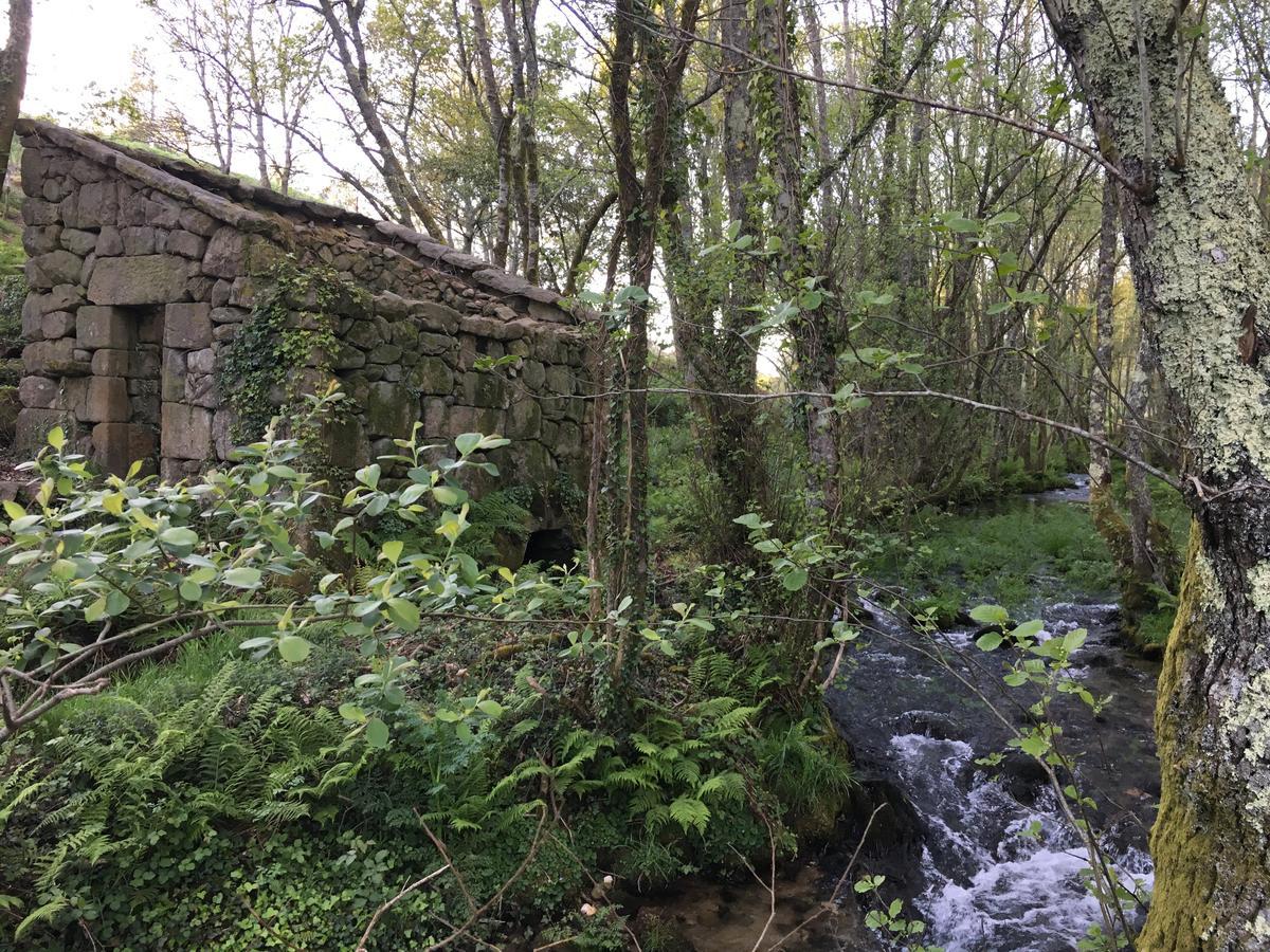 Alameda Home Ποντεβέντρα Εξωτερικό φωτογραφία